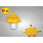 250w / 400w IP65 AC220V Ex-proof Indoor Flood Light For Coal Industry