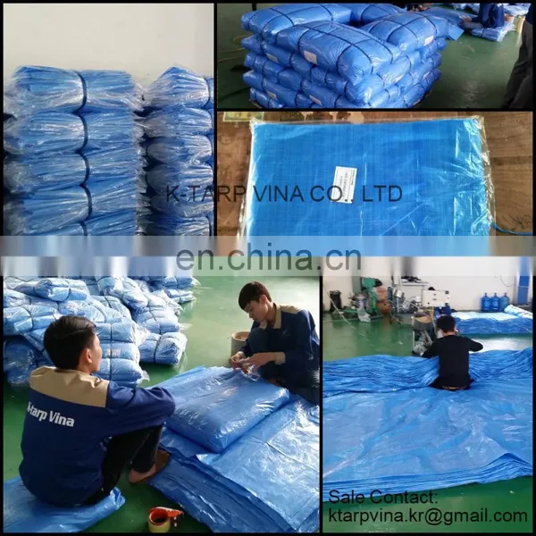 Blue Sheet #3000, Heavy Duty PE Tarp, Durable and Cheap Tarp, Japan Market, Korean Technology photo-3