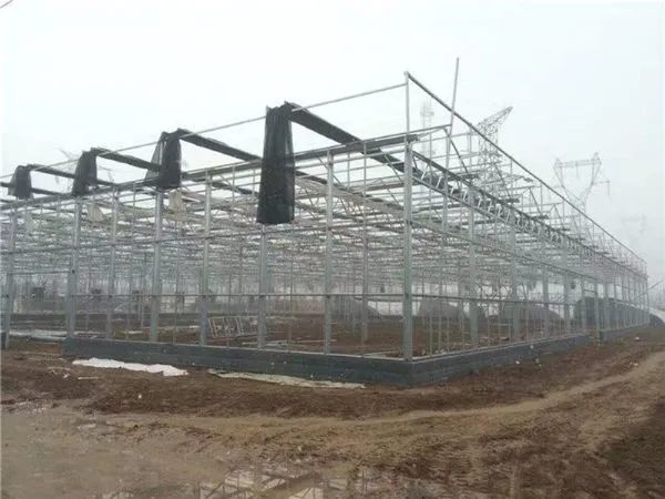 Commercial Glass Greenhouse With Clear PC Sheet Roof photo-4
