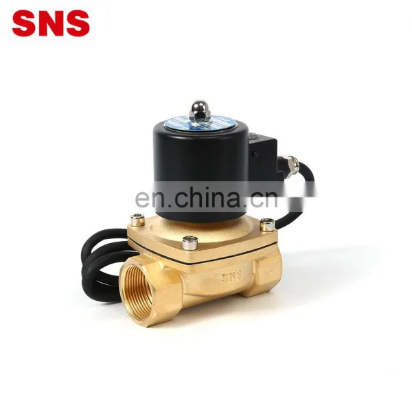 SNS 2WF250-25 110V Explosion-proof Normally Closed Pneumatic Large Diameter Coil Brass Solenoid Valve photo-5