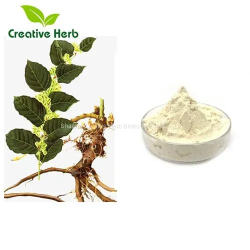Chinese Polygonum Cuspidatum Extract Resveratrol;giant Knotweed Extract Resveratrol 98%