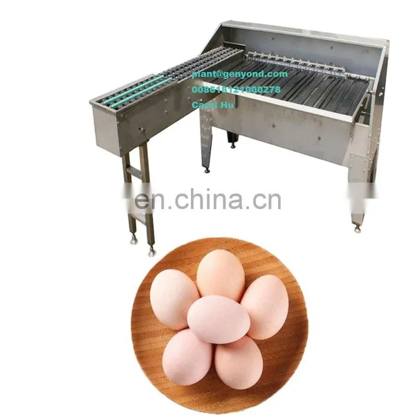 Factory Genyond 5000pcs per Hour Small Egg Processing Device Size Grader Grading Equipment Sorter Sorting Machine