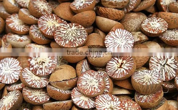 Betel Nut/Natural Raw Dried Betel Nuts/ Betel Areca Nut/vietnam Betel Nut