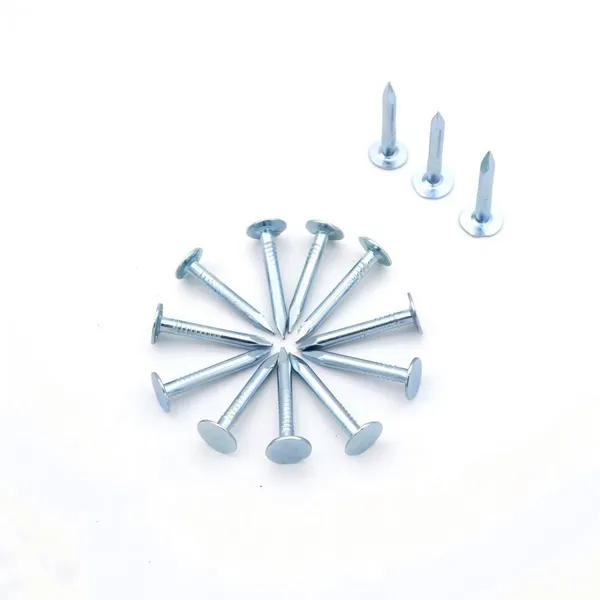 25kg Carton Galvanized Roofing Clout Nails - Made in China for Bulk Orders photo-3