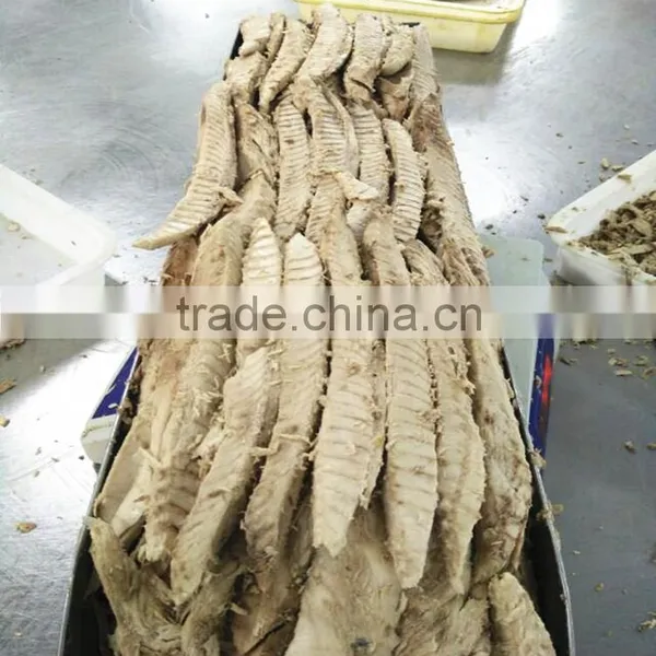 Frozen Precooked Vacuum Packing Bonito Lion and Auxis Thazard photo-6