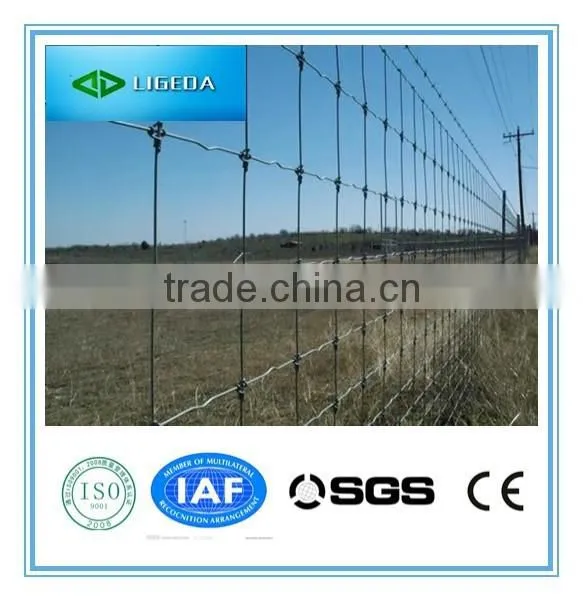 Hinged Joint Cattle Fencing photo-2