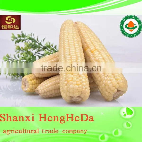 2014 Hot Selling Dried Corn for Sale photo-3