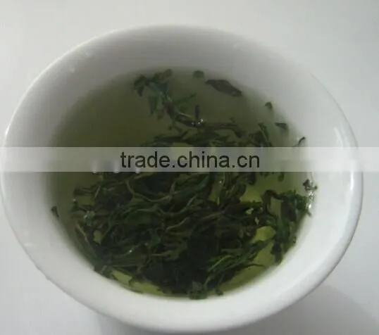 Gojiberry Sprout Tea photo-2