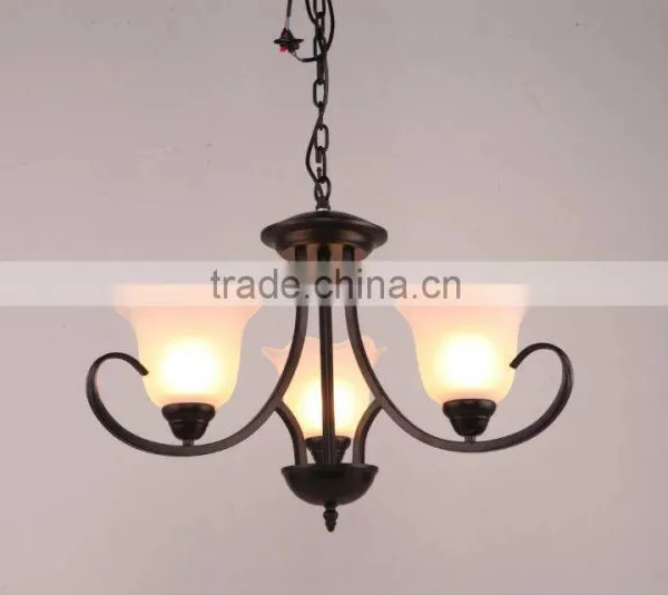 New Design Ceiling Lighting photo-4