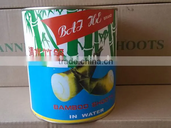 Canned Water Bamboo Shoot 2950gram N.W