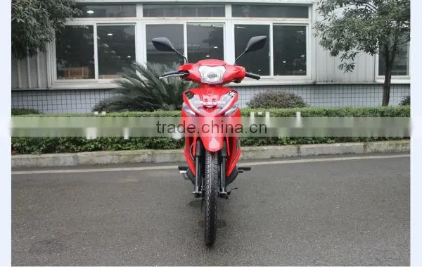 CUB 110cc Motorcycle photo-3