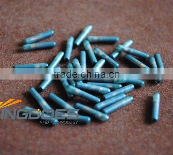 RFID Animal Tag photo-2