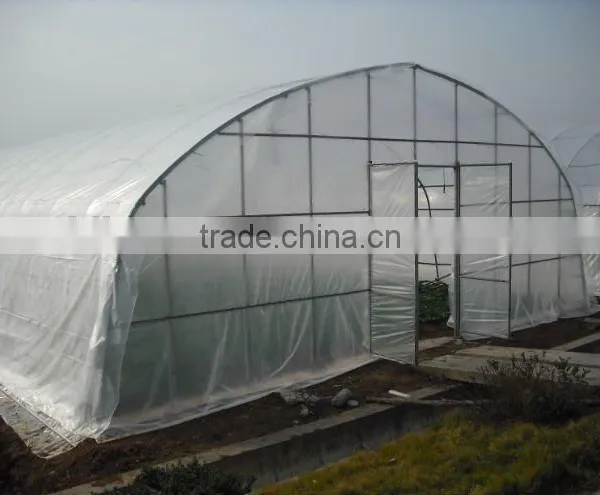 Tunnel Plastic Greenhouse photo-4