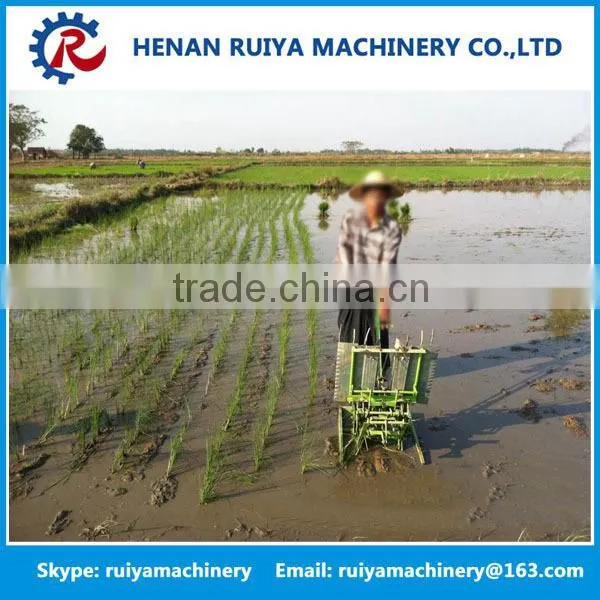 RY Most Popular Two Rows Mini Rice Seeds Planting Machine Price photo-6