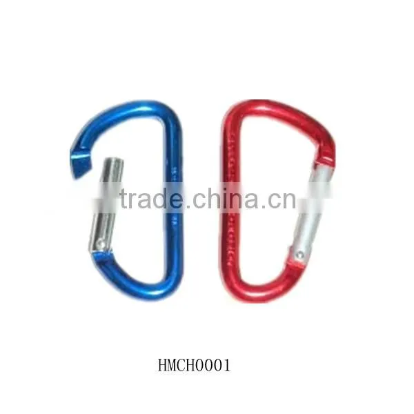 Carabiner Lock