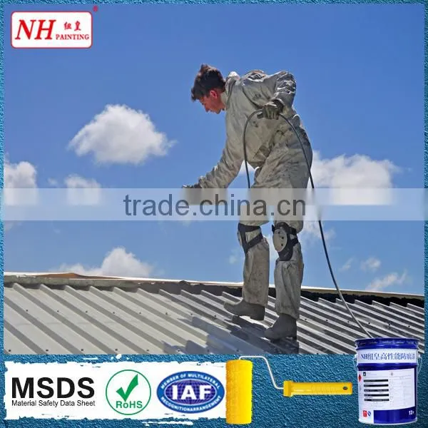 Polyurethane Paint for Flat Roof Repair photo-4