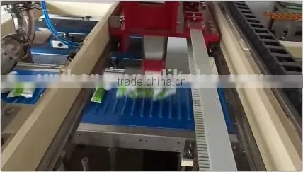 Salt Bags Case Packer, Case Packaging Machine photo-5