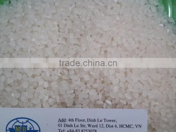 JAPONICA RICE CROP 2015 photo-2