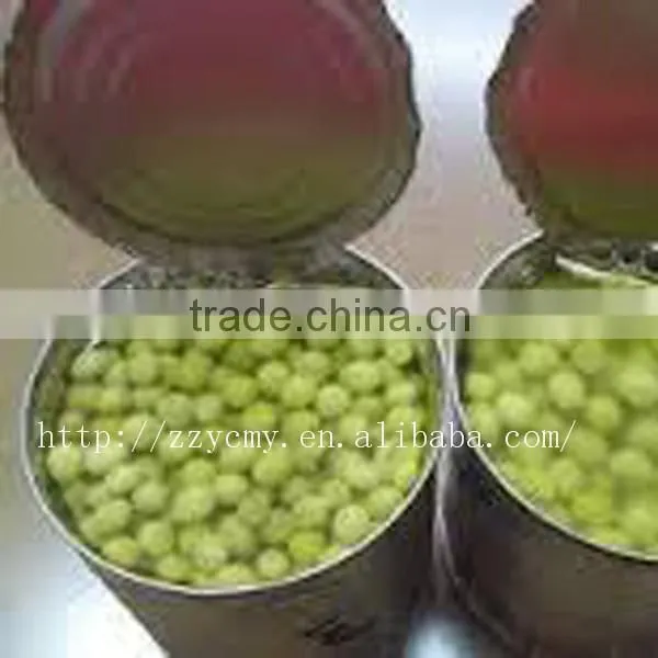 Canned Green Peas in Brine photo-2