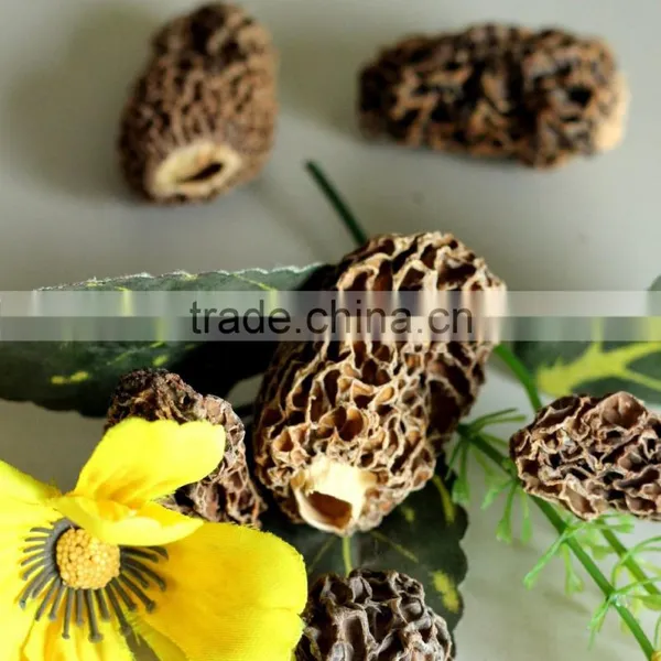 2014 Dried Chinese Black Morel Mushroom Dried Mochella Dryied Morels photo-3