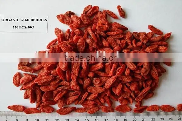 Lycium Fruit photo-3