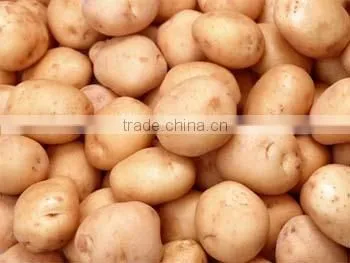 Fresh Potatoes