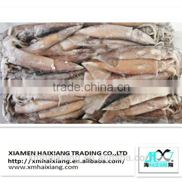 Frozen Squid Supplier photo-3