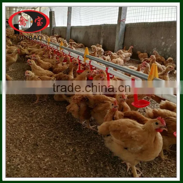 Chicken Nipple Drinkers Automatic Chicken Drinker Automatic Drinker for Chicken