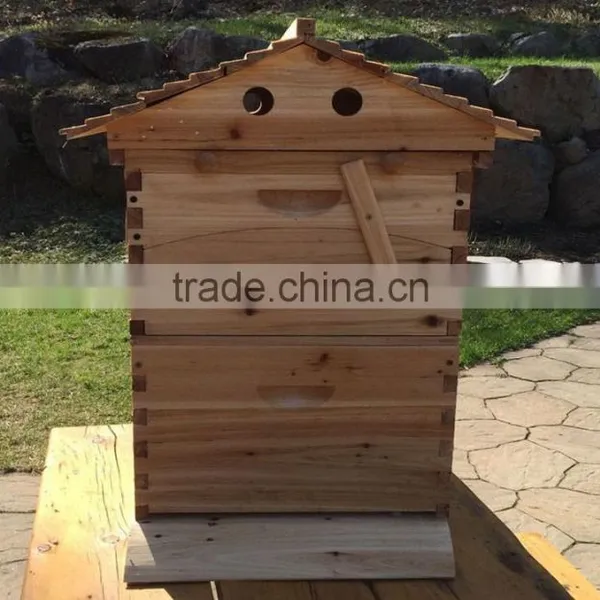 Beehive Box , Super Quality Flowhive Box ,beehive for Sale.flowhive With Flow Frame photo-5