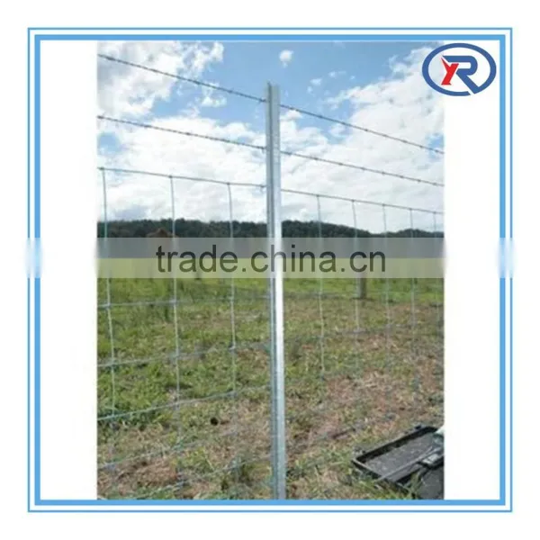 Heibei China Galvanized Y Type Star Fence Post/steel Fence Pole photo-6