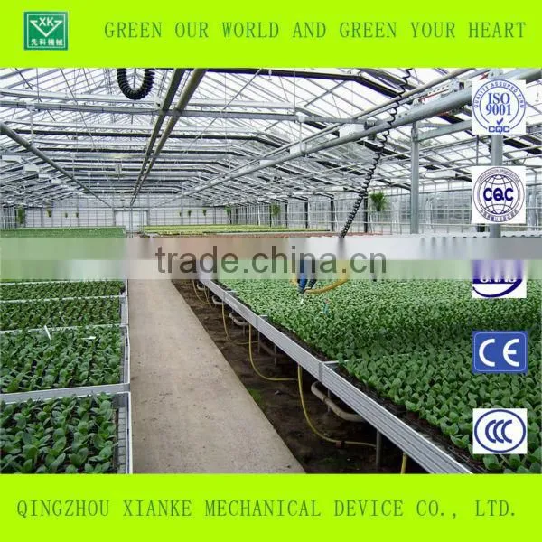Multi-Span Glass Greenhouse for Agricultural Seeding photo-2
