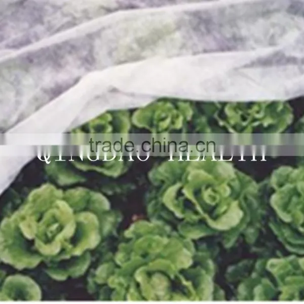 PP Non-woven Fabric ,mulch Fleece ,beige Ground Cover for Rose photo-2
