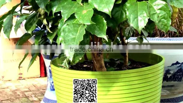 300*270 Biodegradable Colorful Plant Fiber Flower Pot photo-3