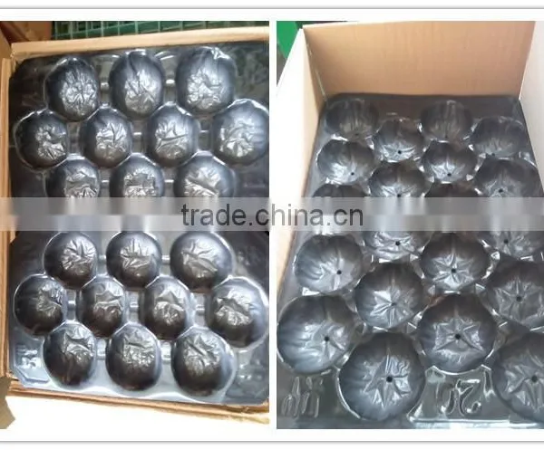 29x49cm Red Food Plastic Tray photo-5