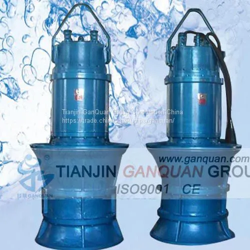 Axial Flow Pump-Sleigh Floating Type photo-3