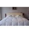 Down Quilt