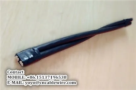 2 Core ABC Cable photo-2