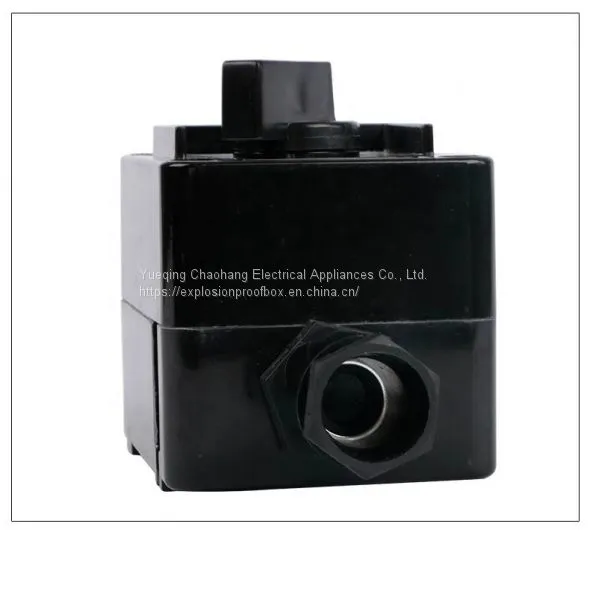 Engineering Plastic Explosion-proof Anti-corrosion Lighting Switch Bzm8050-10a Waterproof Dustproof Explosion-proof Switch AC220 photo-4