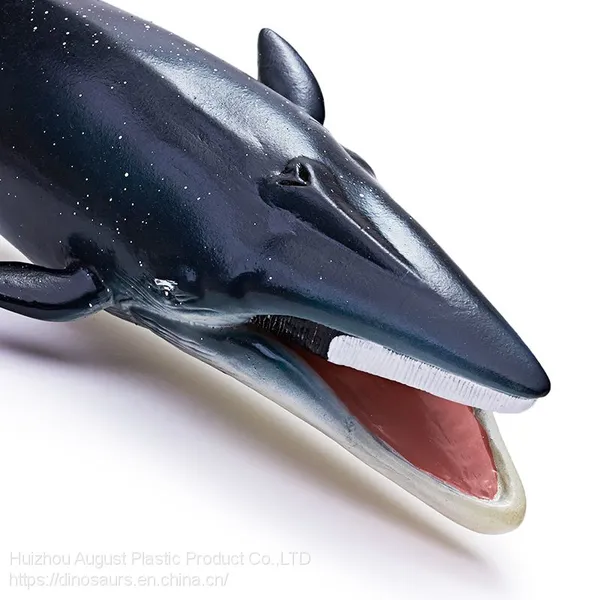 Non-Toxic Educational Factory Price PVC Animal Dinosaur Toys Balaenoptera Physalus Dino Simulation Dinosaur World photo-2