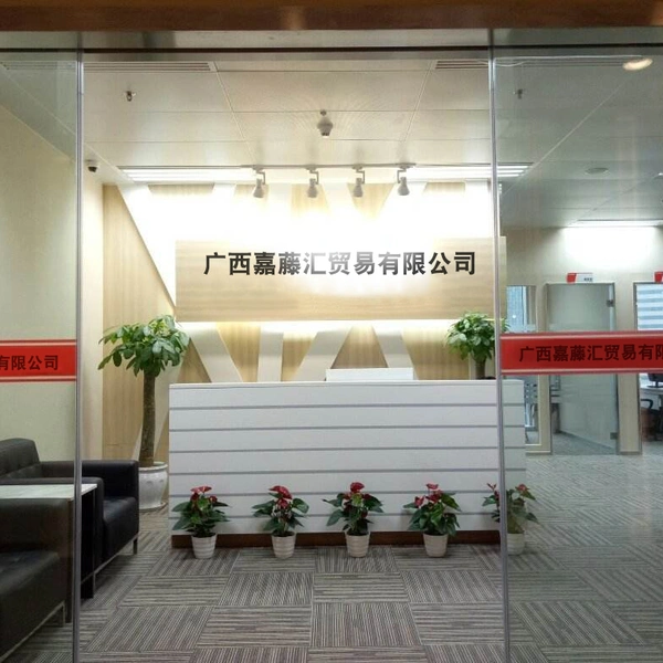 Guangxi Jiatenghui Trading Co., Ltd company overview - view 1