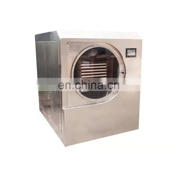 Vacuum Freeze Dryer Machine for Vegetables and Fruits Food Cold Drying for Juice Flowers Industry Using photo-3