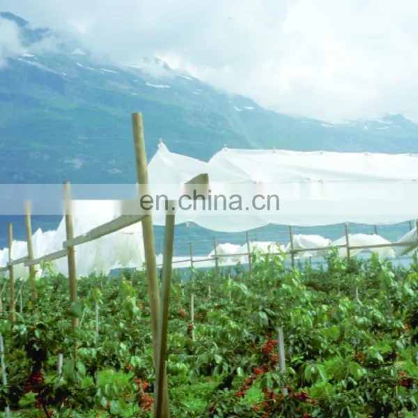 Innovative Covers for Actinidia and Cherry Orchards and Grape