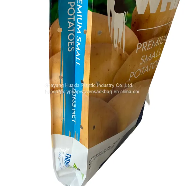 Strong Printed pp Cement Plastic Bags Packaging for Adhesive Cement 25kg 50kg Brand photo-5