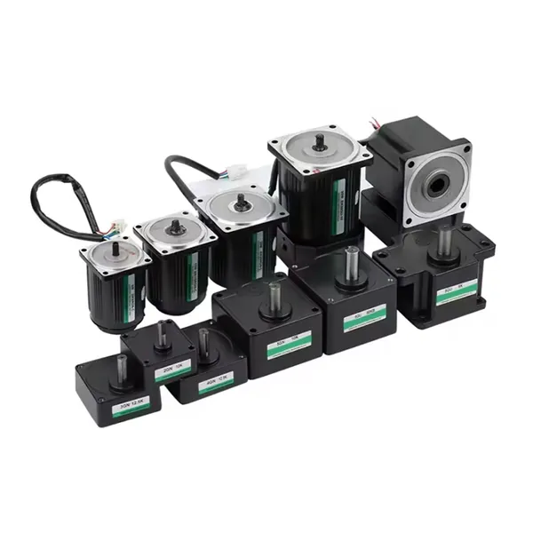 Wholesale From Manufacturers 220v 40w Constant Speed Motor for Automation Equipment photo-5