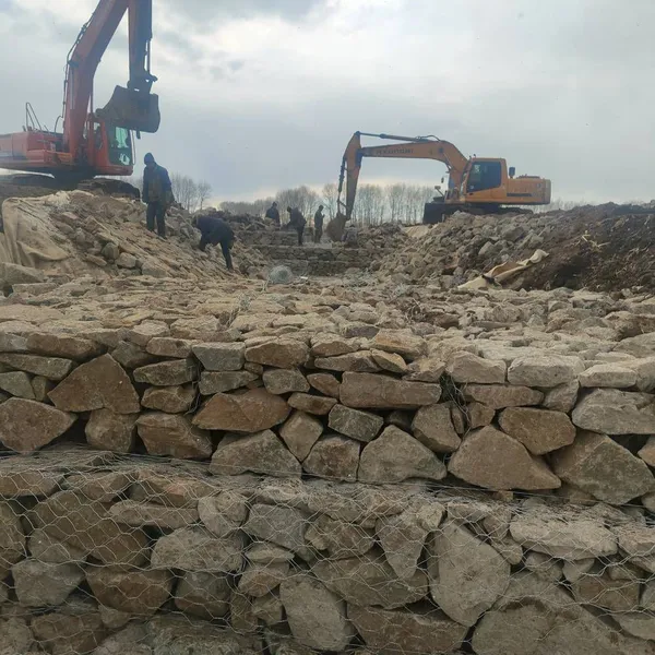 Lianqi Network Industry Slope and Embankment Toe Protection Gabion Cage, Wire Diameter 2.5, Mesh Size 80*100 photo-4