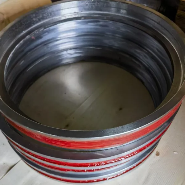 Shanghai Dongfang DFSS600-24N/6 Wear Spare Ring for DFSS Water Pump photo-3