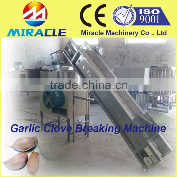 Bulk Shallot Garlic Clove Breaking and Separating Machine From Garlic Process Equipment photo-3