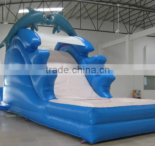 8mL Giant Dolphin Inflatable Slide photo-2