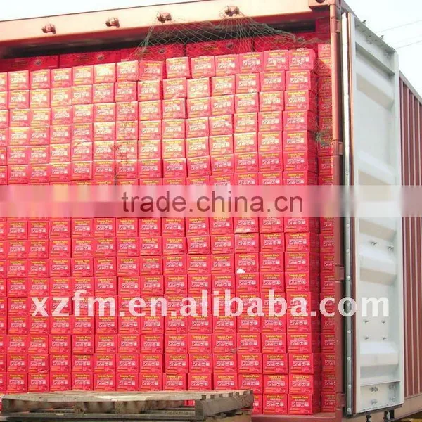 22-24 Tomato Paste in Standing Pouch