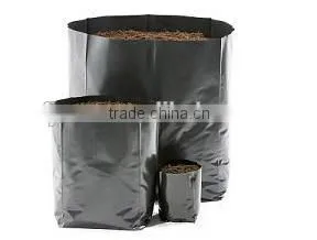 Biodegradable Black Grow Bags for Horticulture
